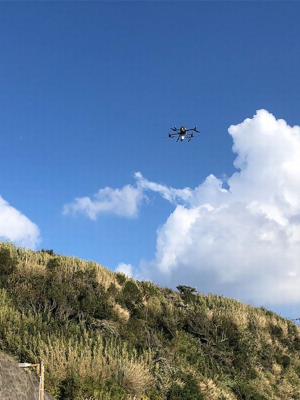 �h���[��1